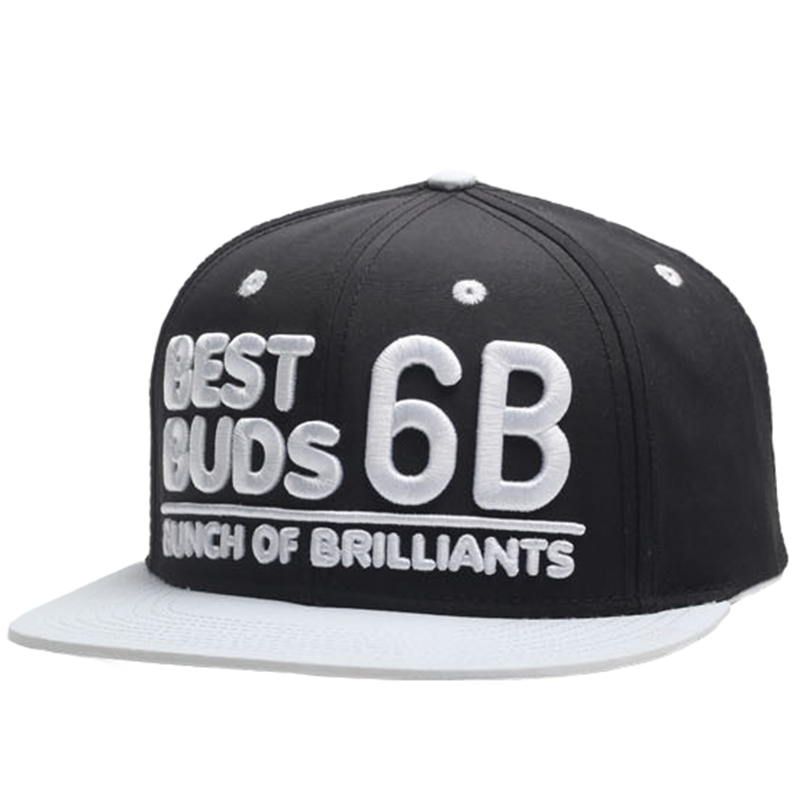 Raised 3D puff embroidery polyester snapback hat